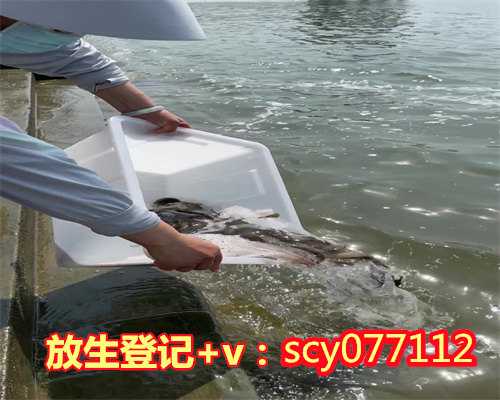 南京放生金鱼在哪里，南京高座寺援助南京疫情防控工作