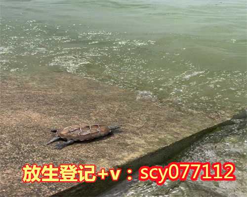 阳江鸭子如何放生，阳江放生需要多少钱，阳江适合放生的河